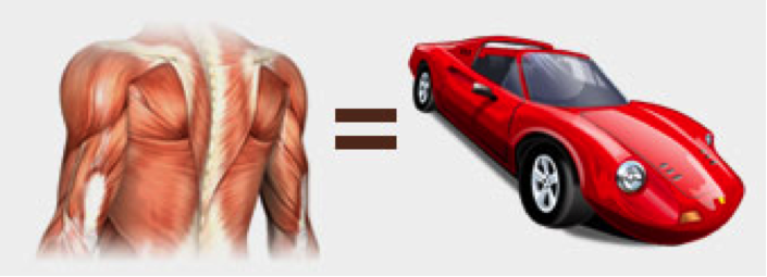 Image: Your body is the car