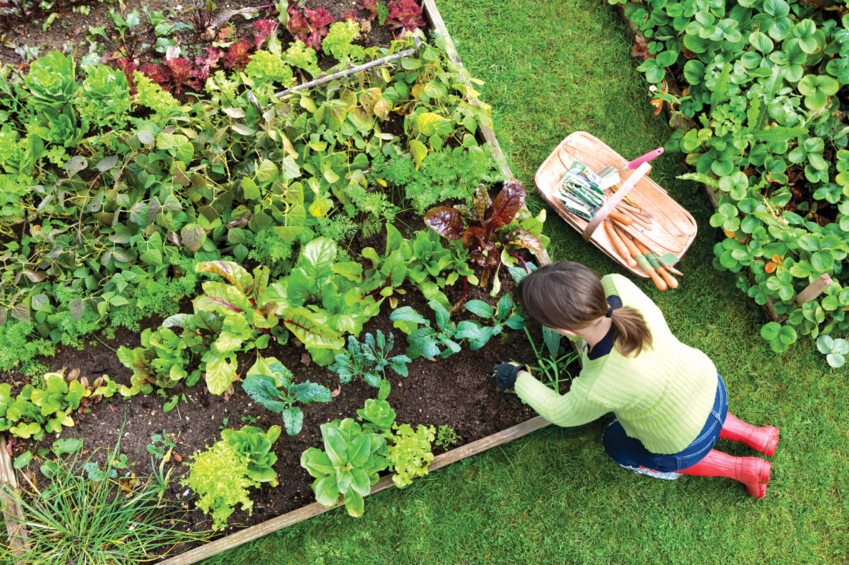 gardening-safety-tips-lake-country-physical-therapy-canandaigua